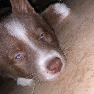 Meet your Posher, Jacob